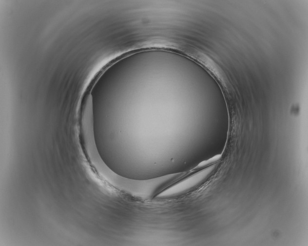 X0000091591132200709051116