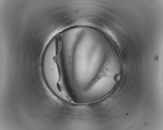 X0000091591133200709051116