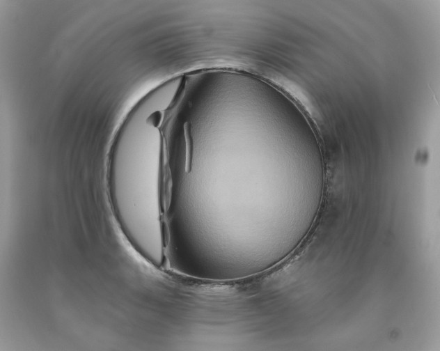 X0000091591135200709051116
