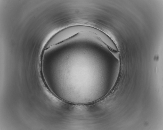 X0000091591136200709051116