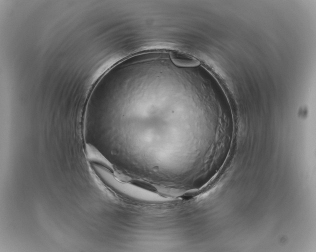 X0000091591137200709051116