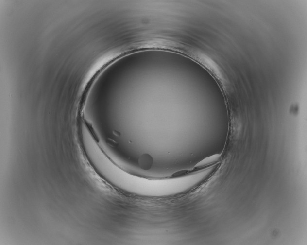 X0000091591138200709051116