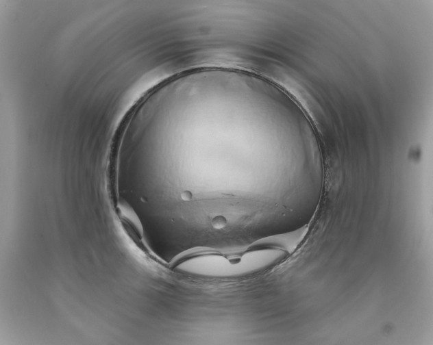 X0000091591139200709051116