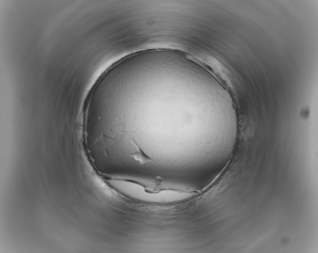 X0000091591140200709051116