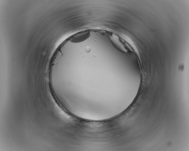 X0000091591141200709051116