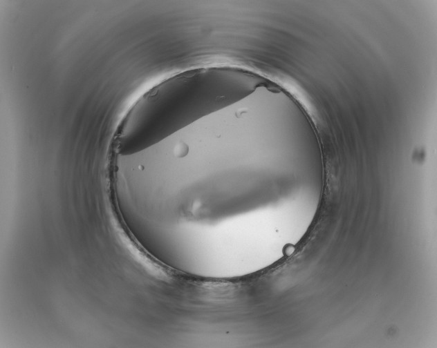 X0000091591142200709051116