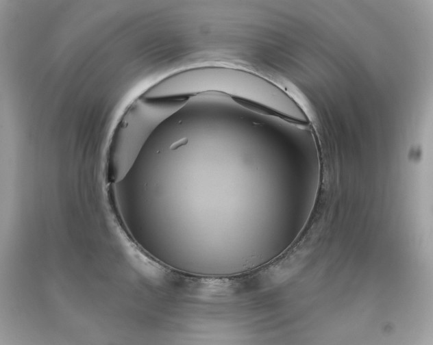 X0000091591144200709051116