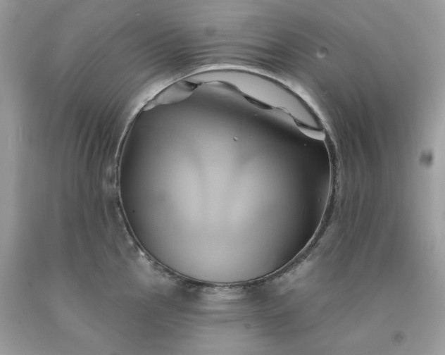 X0000091591145200709051116