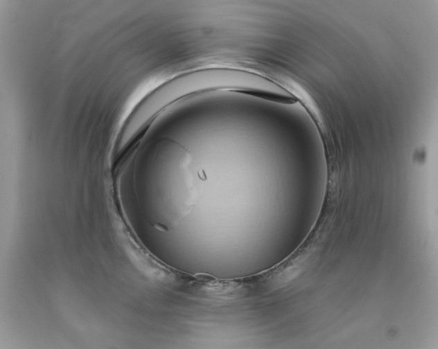 X0000091591146200709051116