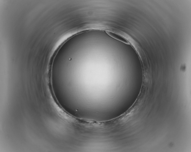 X0000091591147200709051116