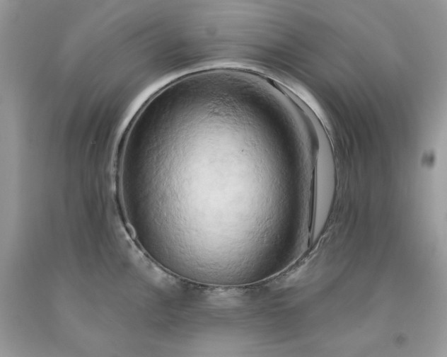 X0000091591148200709051116