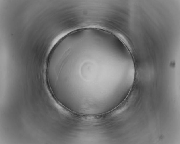 X0000091591149200709051116