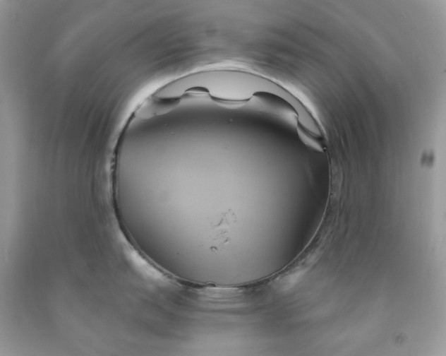 X0000091591151200709051116