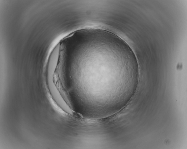 X0000091591152200709051116