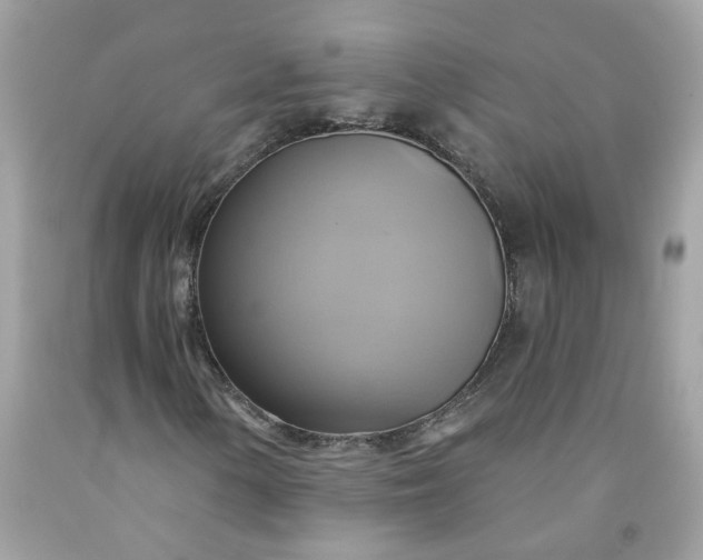X0000091591154200709051116