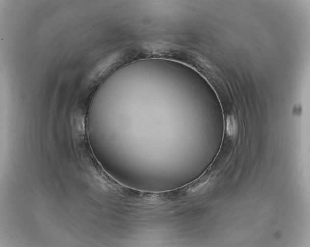 X0000091591155200709051116