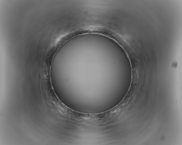 X0000091591158200709051116