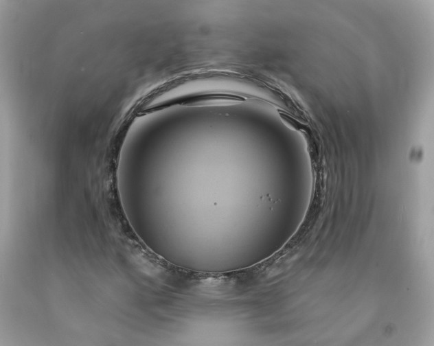 X0000091591160200709051116