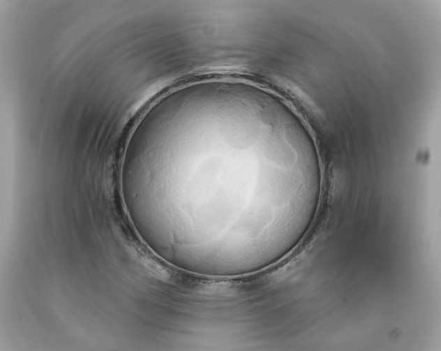 X0000091591162200709051116