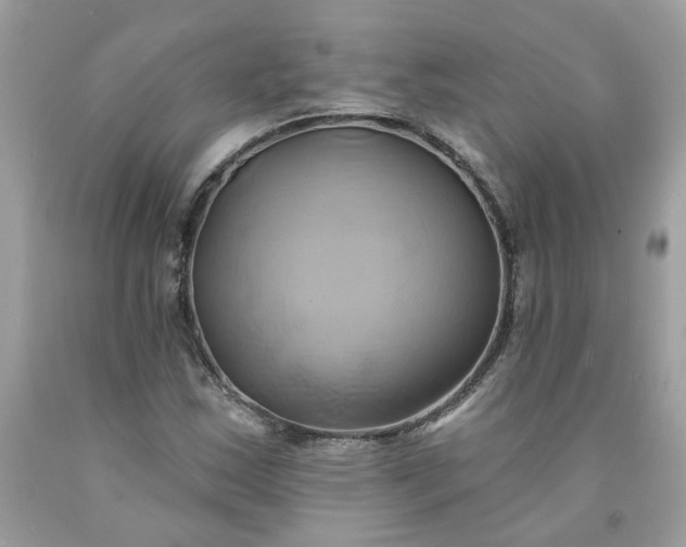 X0000091591163200709051116