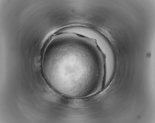 X0000091591164200709051116