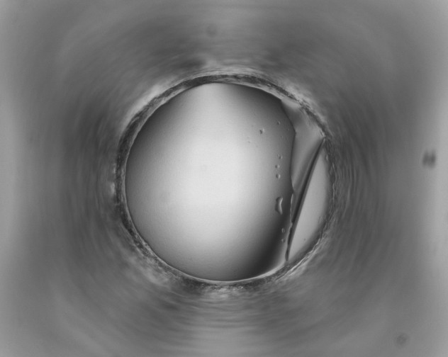 X0000091591165200709051116
