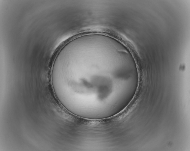 X0000091591166200709051116