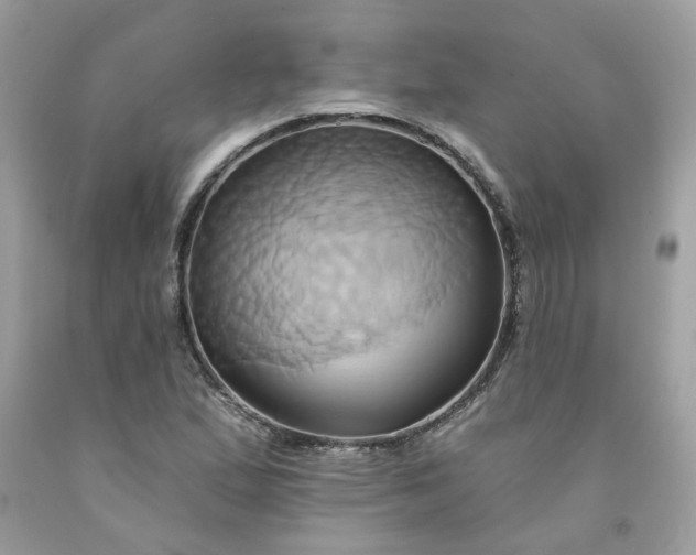 X0000091591167200709051116