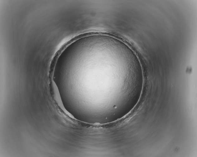X0000091591168200709051116