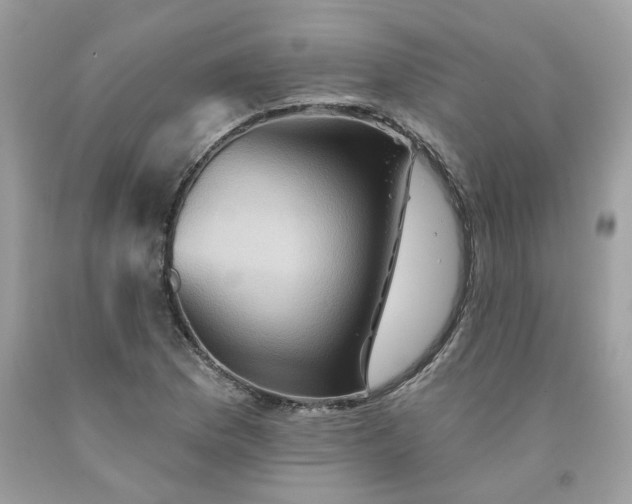 X0000091591169200709051116