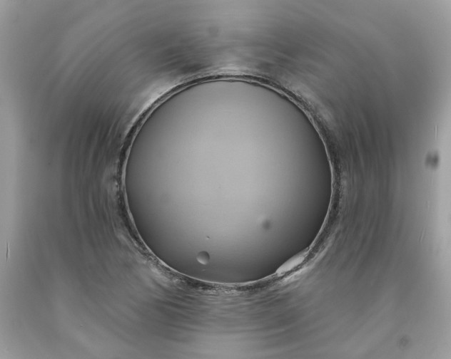 X0000091591170200709051116