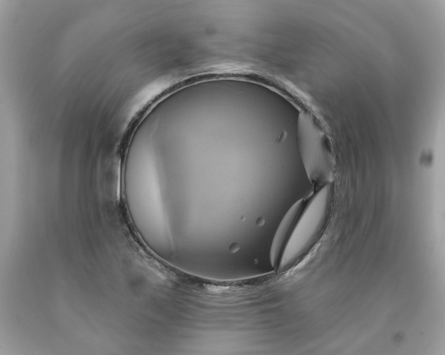 X0000091591171200709051116