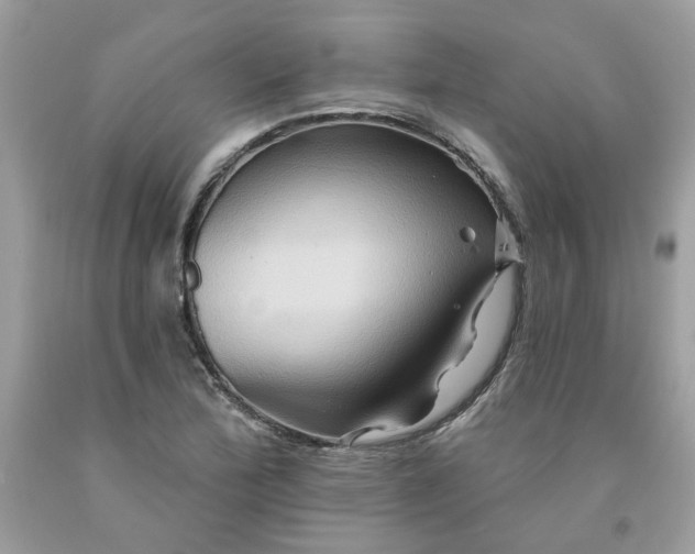X0000091591172200709051116