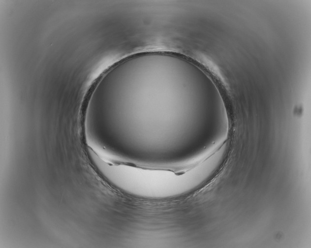 X0000091591173200709051115