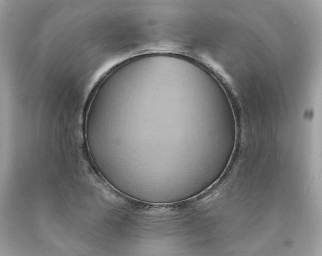 X0000091591174200709051115
