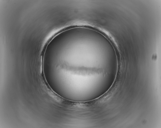 X0000091591175200709051115