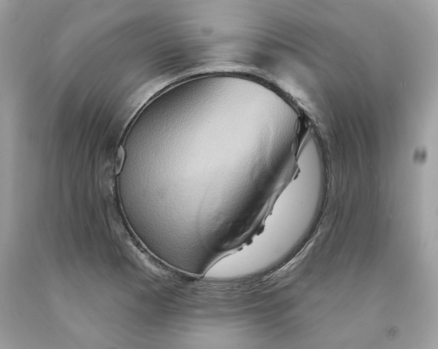 X0000091591177200709051115