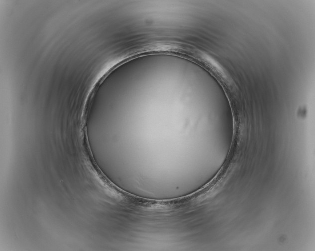 X0000091591178200709051115