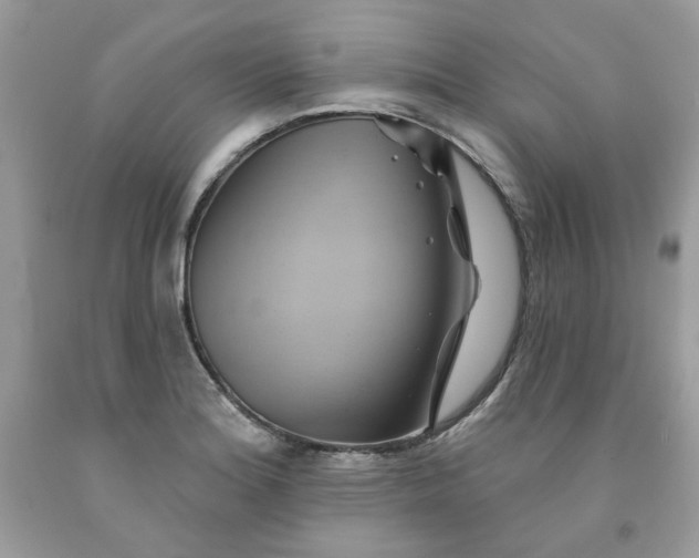 X0000091591180200709051115