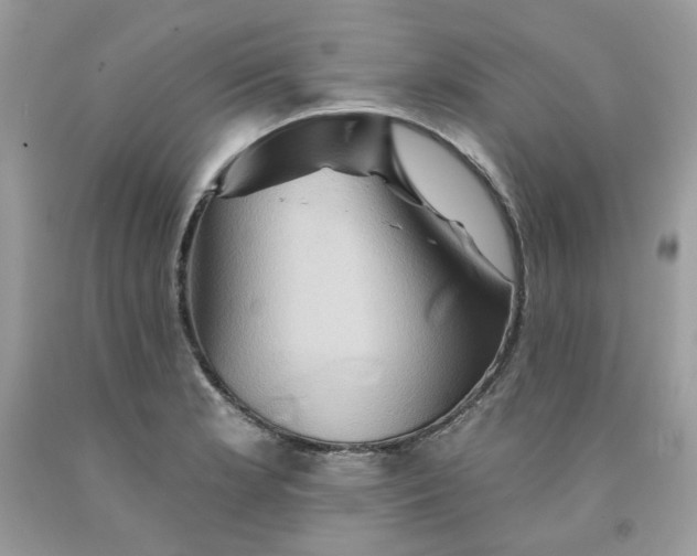 X0000091591181200709051115