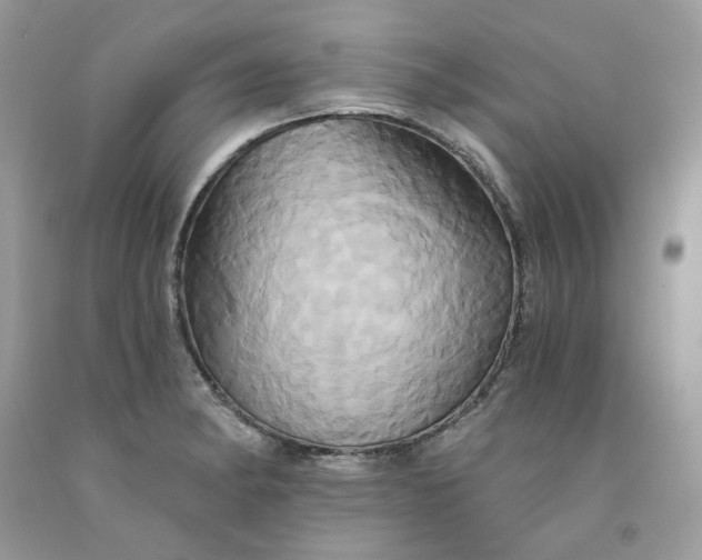 X0000091591182200709051115