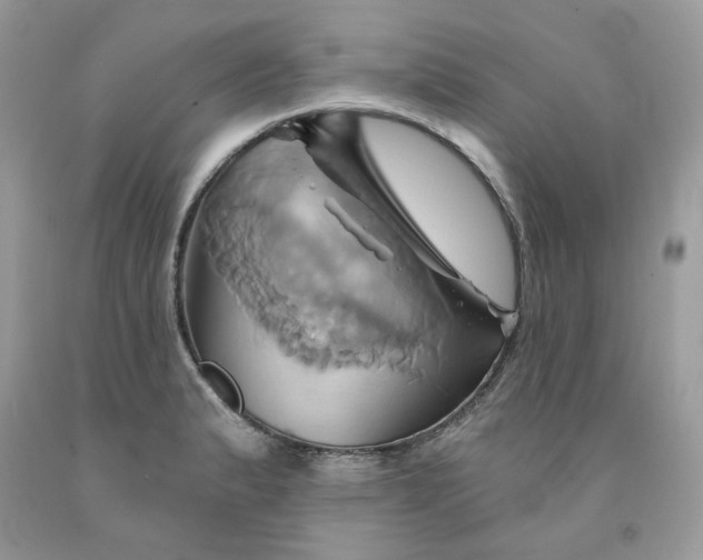 X0000091591183200709051115