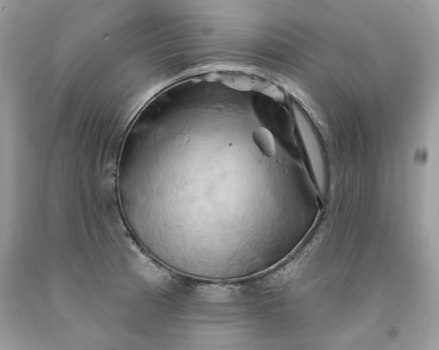 X0000091591185200709051115