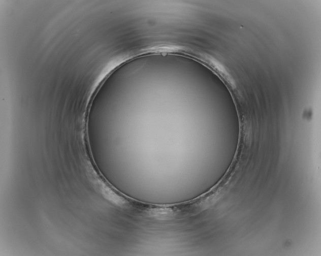 X0000091591186200709051115