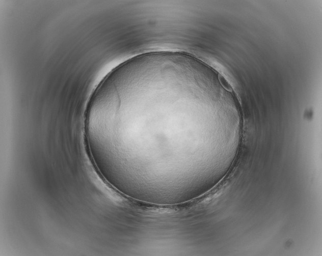 X0000091591187200709051115