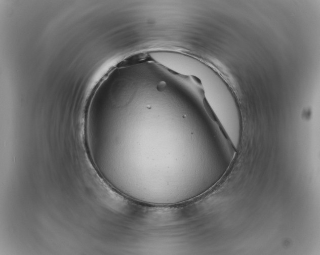X0000091591188200709051115