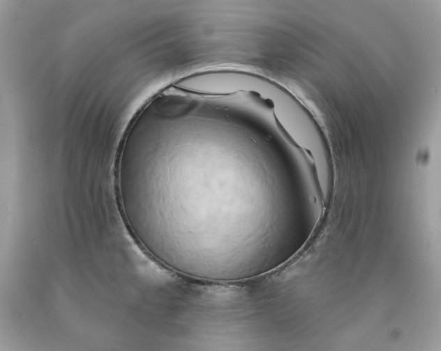 X0000091591189200709051115