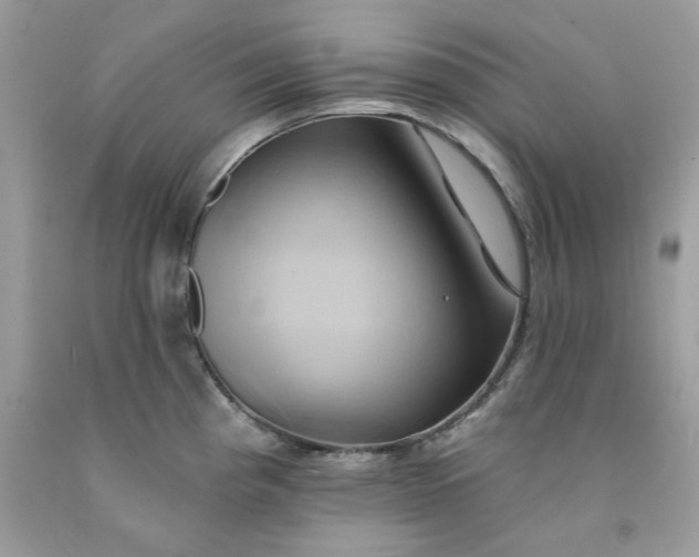 X0000091591193200709051115