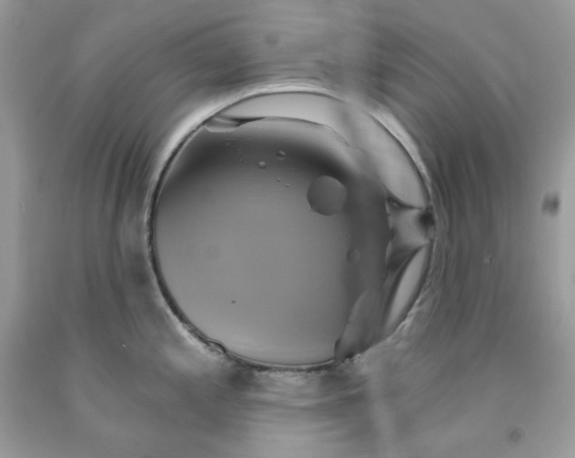 X0000091591197200709051115