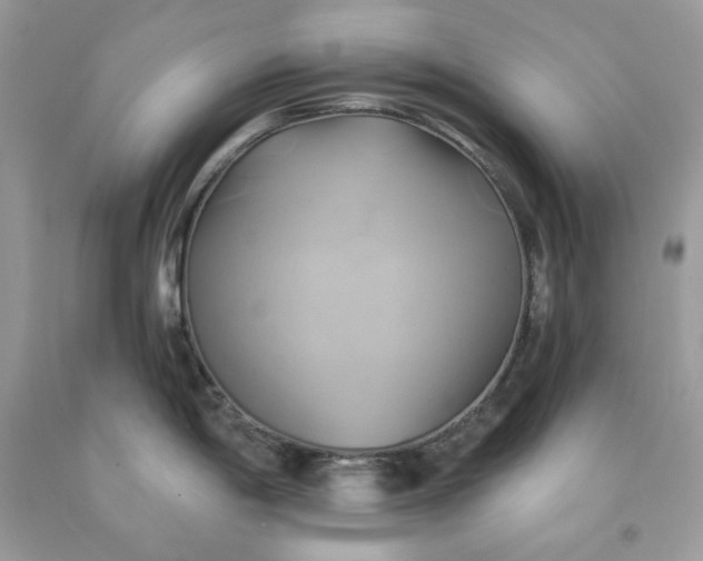 X0000091591198200709051115
